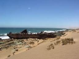Namibia's often cruel coastline also conceals bounty