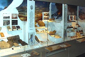Display at Bristol City Museum